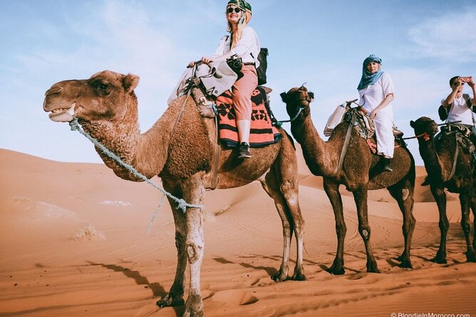 2 days luxury desert trip [fes to fes or marakech] - Ifrane and Azrou Cedar Forest: The Stops That Add Variety