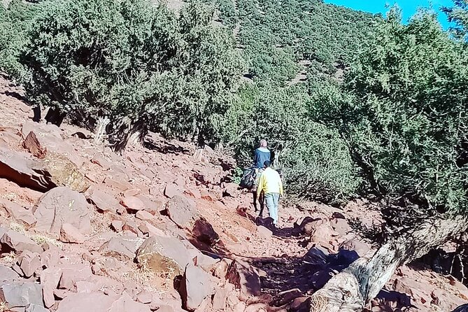 2 Days Trek to Atlas Mountains berber villages - Day 2: Tizzi Mzik to Imlil Valley, with lunch near 2400m