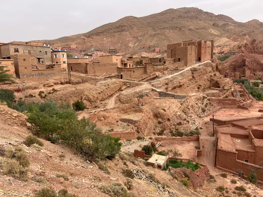 2 Days Trip From Marrakech To Ouarzazate & Dades Valley - Day 2: Dades Gorge, Roses Valley, and Skoura Oasis for a different kind of Morocco