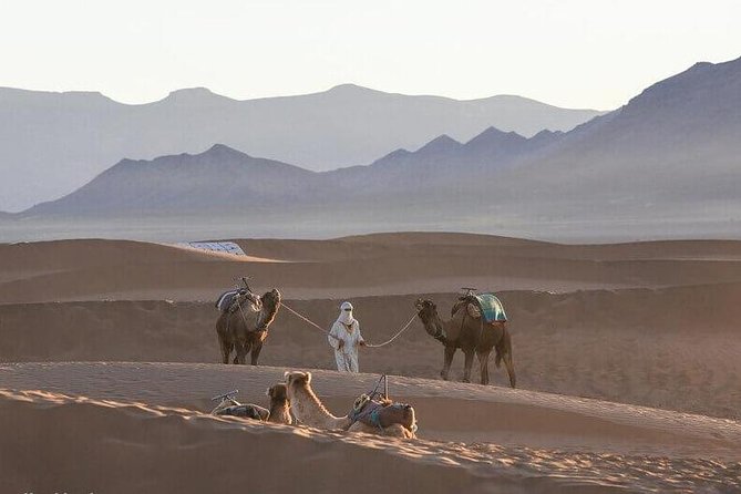 2-Days Zagora desert tour from Marrakech - Ouarzazate Options: Cinema Museum and Taourirt Kasbah