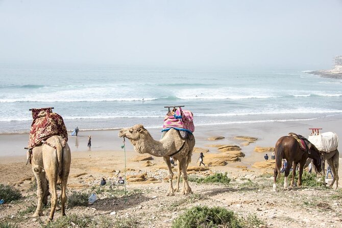 2 Hours Activity Surfing lessons in Taghazout - Key things I’d circle before you go