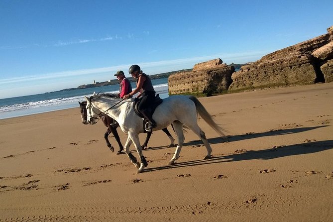 2 hours horse ride beach and dunes in Essaouira Morocco - Price check: does $51.10 feel fair for a 2-hour beach ride?