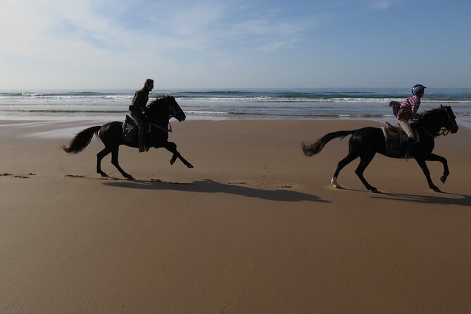 2 hours horse ride beach and dunes in Essaouira Morocco - The real itinerary: beach riding, then turning back through eucalypti and mimosa