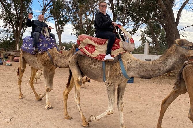 2 Hours Private Camel Ride in Agadir - Arriving at the Ranch Near the King’s Palace