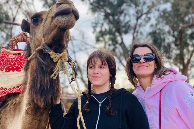 2 Hours Private Camel Ride in Agadir - Guide Help, Photo Stops, and That Optional Tea Moment