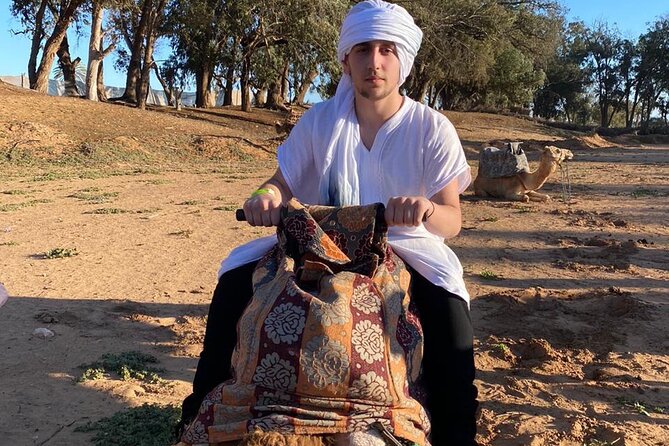 2 Hours Private Camel Ride in Agadir - The Sunset Camel Ride Route: Eucalyptus, Souss River, and Palace Views