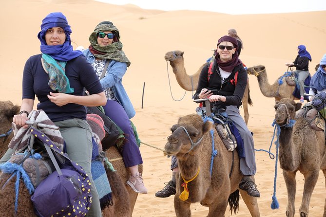 2 nights desert tour from Marrakech to Merzouga & camel ride - Day 2: Todra Gorge hike, Erg Chebbi dunes, and a real camel ride into camp