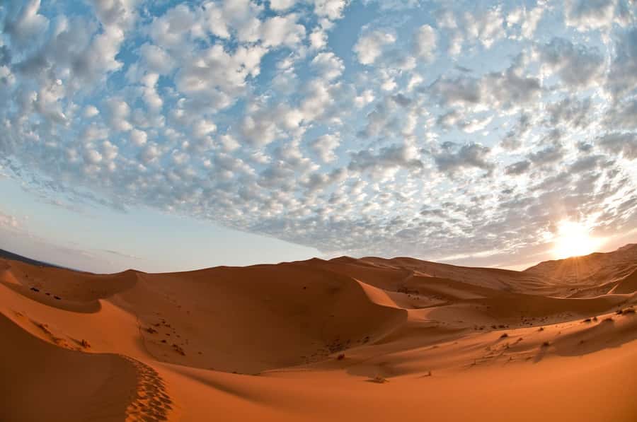 2Days Desert Tour From Fez: Round-Trip with Luxury Camp stay - Day 2 Sunrise and The Return Drive Back to Fez