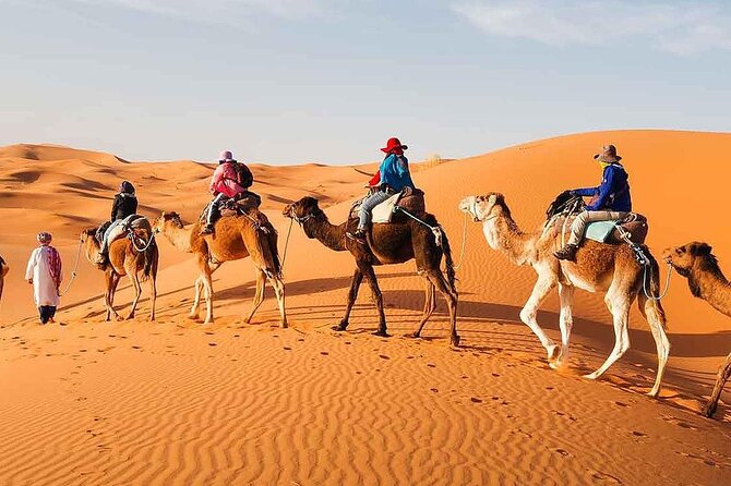 2Days Share Tour From Fes To Marrakech Or Fes Via Sahara & camel - Starting in Fez: your pickup point and how the pace works