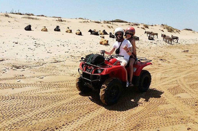 2h quad bike on the beach and in the dunes - Family Fit: Sharing a Quad Under 12