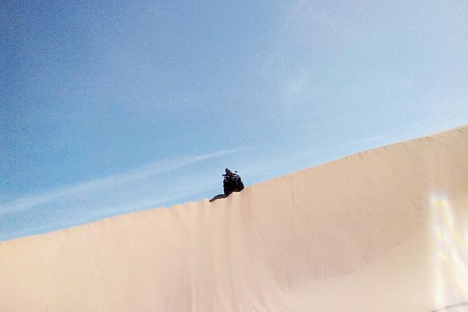 2h quad bike on the beach and in the dunes - Forest Tracks on the Way Back, With a Real Sense of Pace