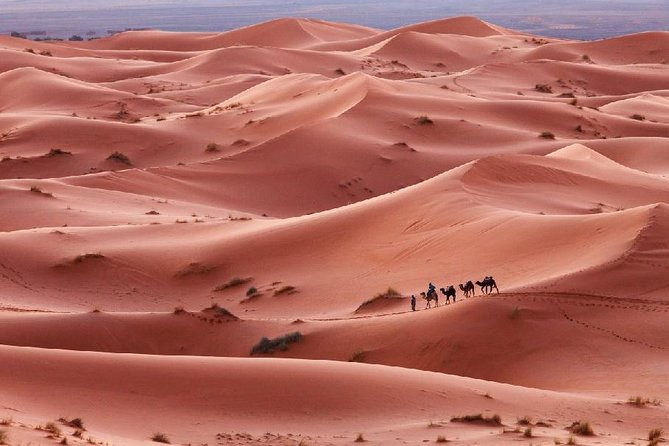 3-Day Desert Experience from Marrakech - Todgha Gorge: Narrow Canyons, Strong Light