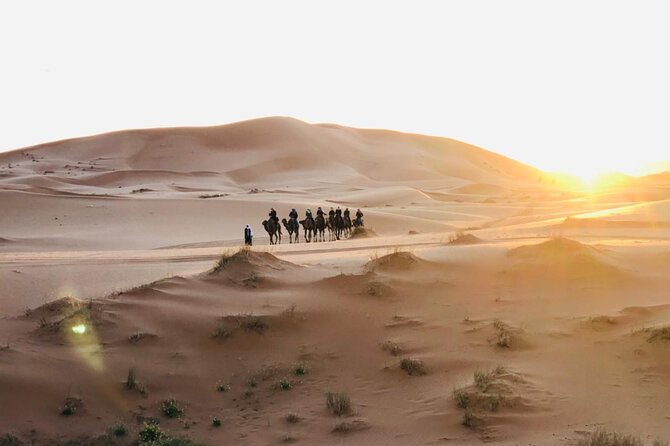 3-Day Desert Tour from Marrakech to Marzouga - Group Size, Organization, and the On-Time Driver Advantage