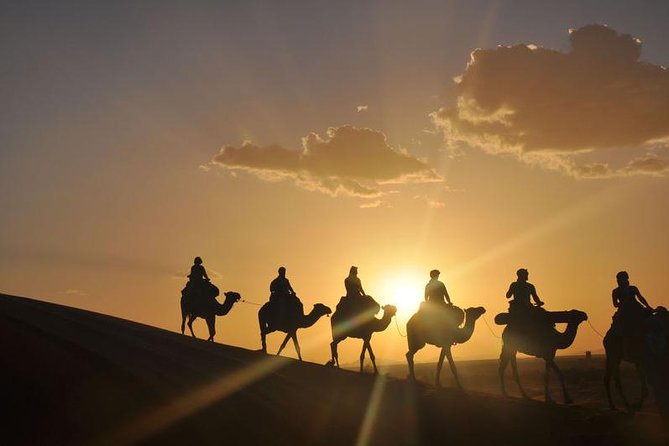 3 Day Desert Tour Marrakech to Fes - Day 3 sunrise to Fes: Ziz Valley, cedar forests, and quick monkey time
