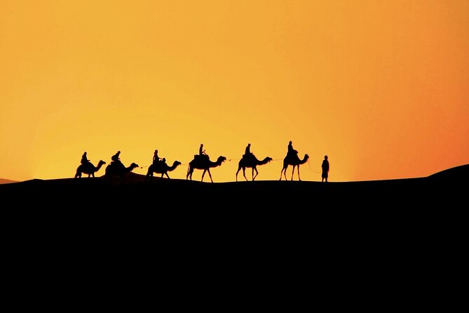3-Day desert tour Marrakech to Fes via Merzouga - Day 3: Azrou Forest, Ziz Valley Views, and Ifrane Before Fes Drop-Off