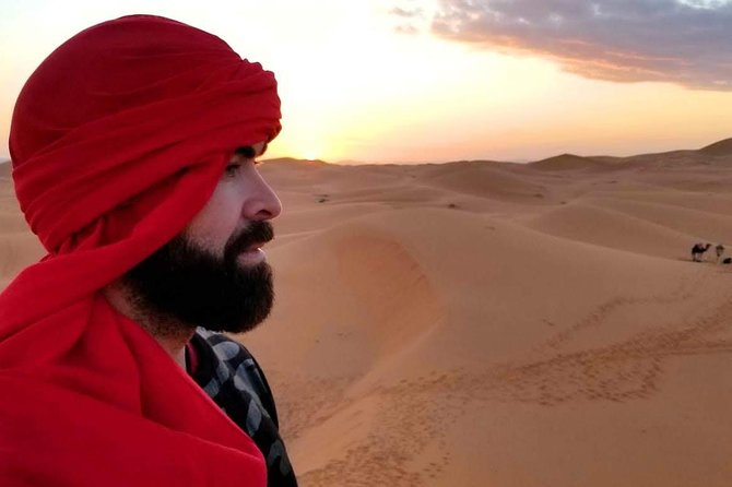 3-Day Desert Tour to Fez: Ouarzazate and Berber Village from Marrakech - Day 3: Cedars of the Middle Atlas, Ziz Valley, and Arrival in Fes