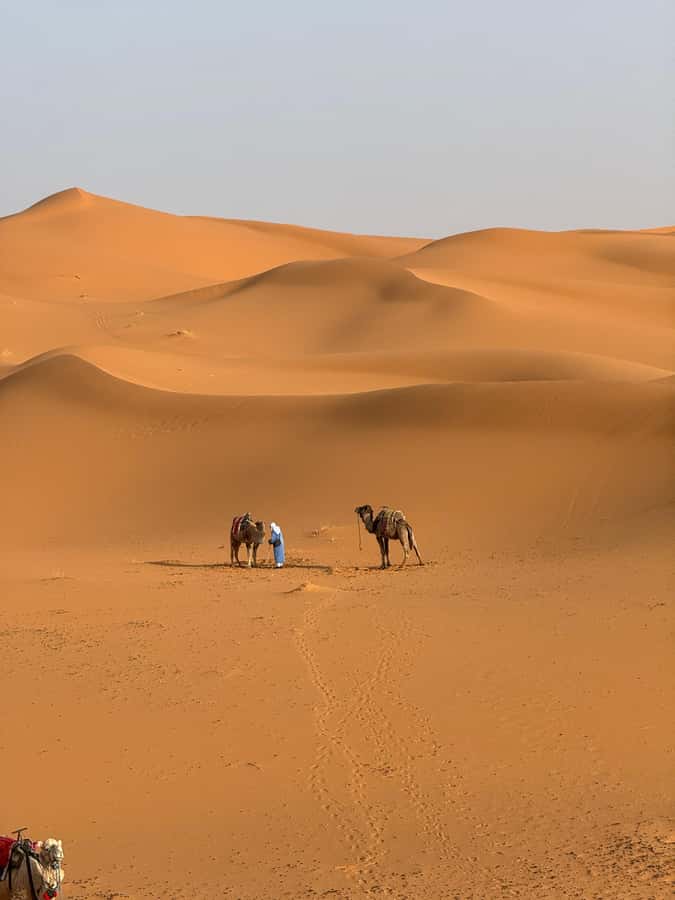 3-Day luxury Adventure: Marrakech to Merzouga incl.Quad/show - Ait Ben Haddou, UNESCO Without the Pressure of a Full-Time Guide