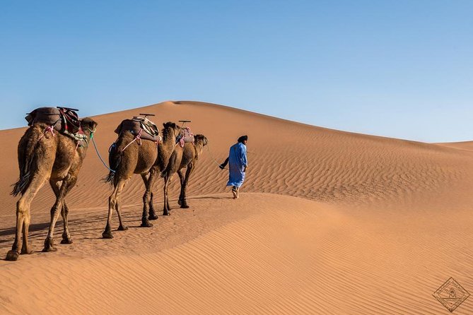 3 Day Luxury Tour: Sahara desert & luxury camp from Marrakech - Price and Value for $133.76, What You’re Really Buying