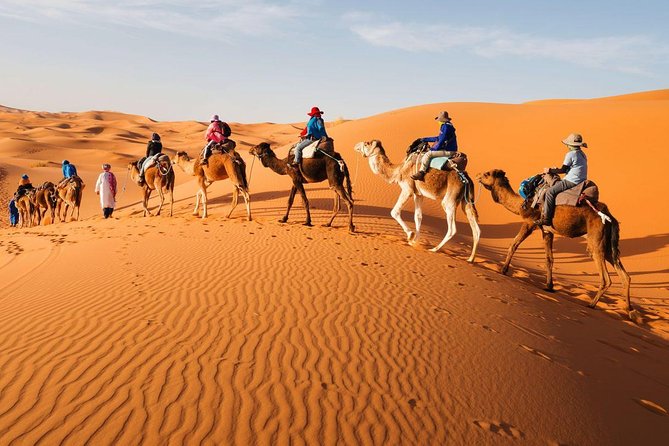 3 Day Luxury Tour: Sahara desert & luxury camp from Marrakech - Marrakech Pickup and the Vehicle Reality