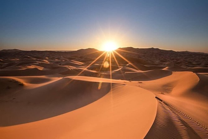 3 Day Marrakech to Fes desert Tour - Camel Trek - Todra Gorges To Jorf Palms, Erfoud Marble: The Middle Day Before Merzouga