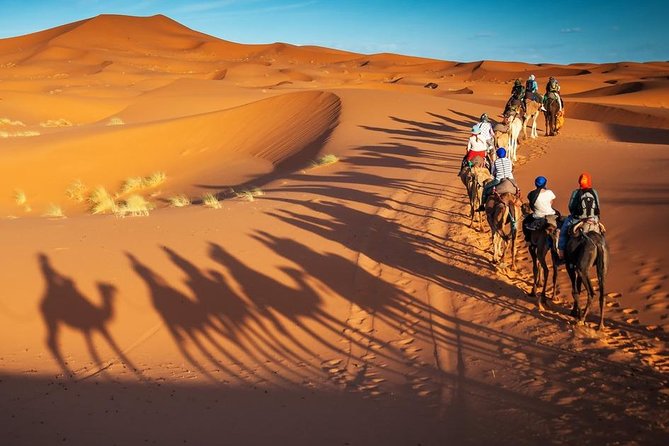 3-Day Marrakech to Fes Sahara Desert Tour via Merzouga - Food and the long-road rhythm, plus group size reality