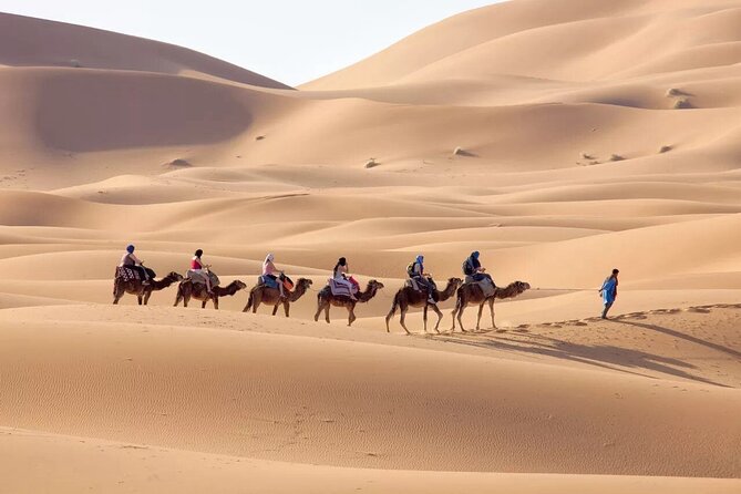 3-Day Sahara Adventure: Marrakech to Fez via Merzouga - Pickup, private A/C transport, and the reality of long days