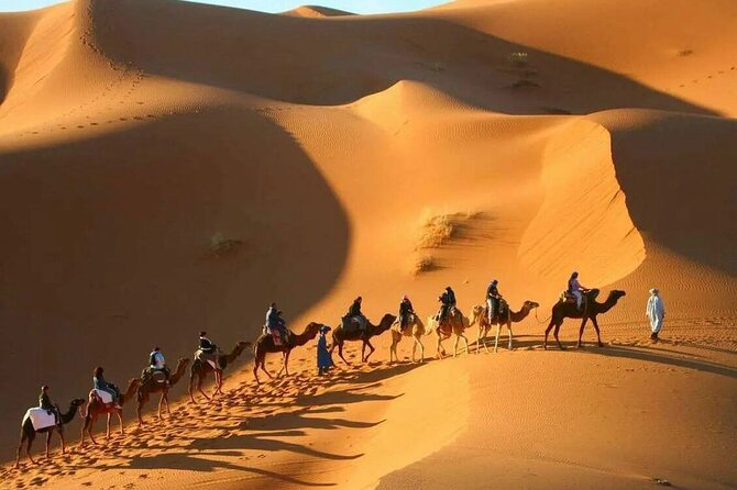 3-Day Sahara Adventure: Marrakech to Fez via Merzouga - Day 1 pacing downside: legs, heat, and “enough time to see”
