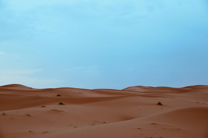 3-Day Sahara Desert Adventure: A Journey Through Morocco’s Dunes - Price and what you truly get for about $557.50 per person