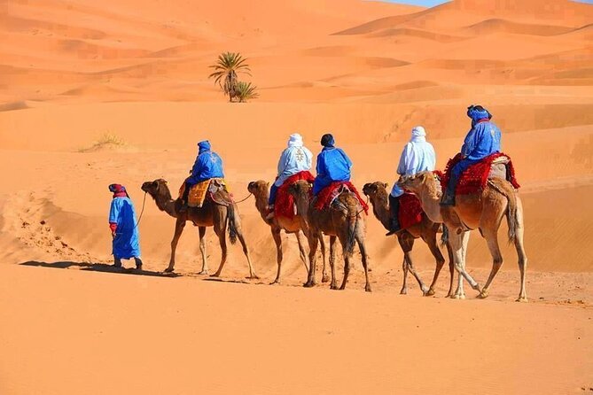3-Day Tour from Marrakech to Merzouga Desert - Key highlights you will actually care about