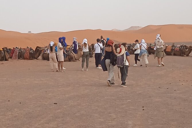 3-Day Tour to Merzouga Erg Chebbi visiting villages & Camel trek - Merzouga to Erg Chebbi: camel trek and the slow change into sand