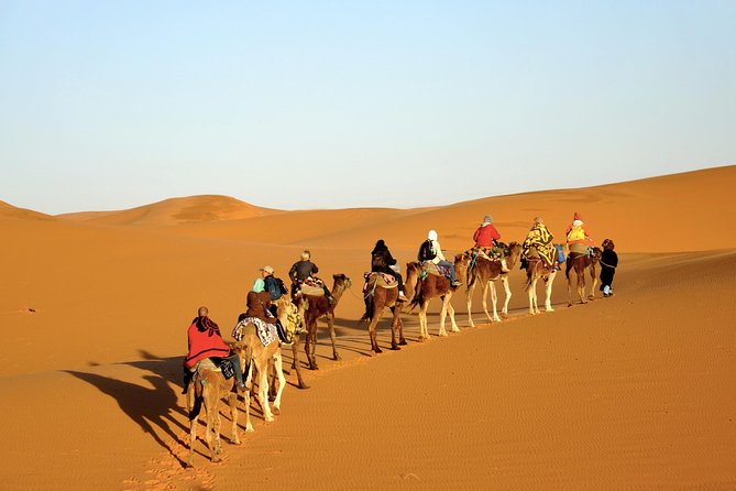 3-Day Tour to Merzouga Erg Chebbi with Food & Camel Trek - Drivers, group size, and the rhythm of long road days