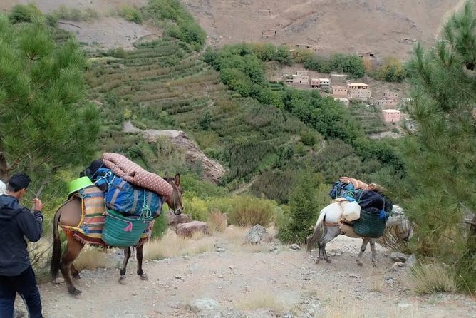 3 Day Trek in the Atlas Mountains and Berber Villages from Marrakech - Marrakech to Imlil: why this trek feels personal