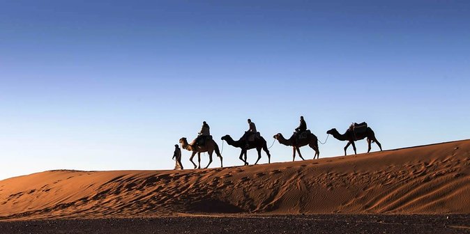 3 Days 2 Nights Adventure from Marrakech to Fez via Desert - Merzouga and Erg Chebbi: the camel ride plus a real Berber camp night