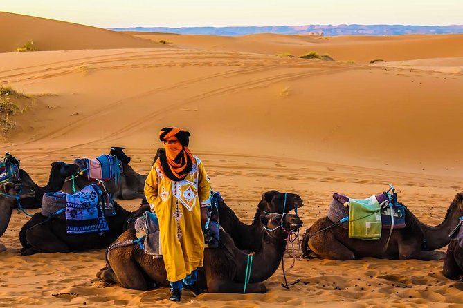 3 Days 2 nights Desert Tour from and back to Marrakech - Todgha Gorges on Day 2, then straight toward Erg Chebbi