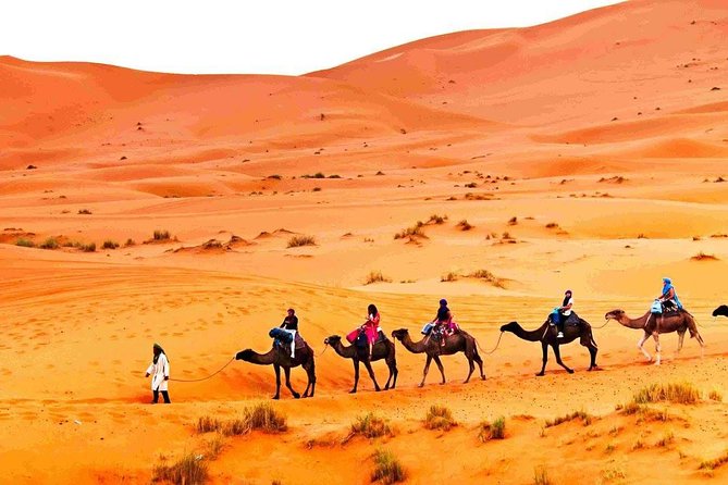 3 Days 2 nights Desert Tour from and back to Marrakech - Ouarzazate: kasbah power, caravan history, and film-country vibes