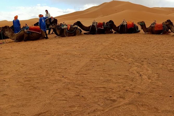 3 Days 2 Nights: Desert Tour from Fes to Marrakech - Day 1: Fez to Merzouga through Ifrane, Midelt, the Ziz Valley, and Erg Chebbi