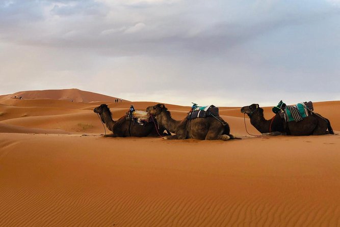 3 Days 2 Nights: Desert Tour from Fes to Marrakech - Timing and the art of not feeling rushed