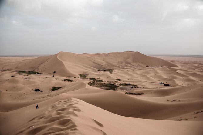 3 Days 2 Nights Desert Tour from Fes to Marrakech via erg Chebbi - Price and value: what $186.10 really buys you