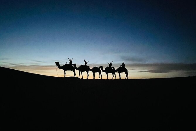 3 Days 2 Nights Desert Tour from Fes to Marrakech via Merzouga - Erg Chebbi camel ride, sandboarding, and the desert camp night