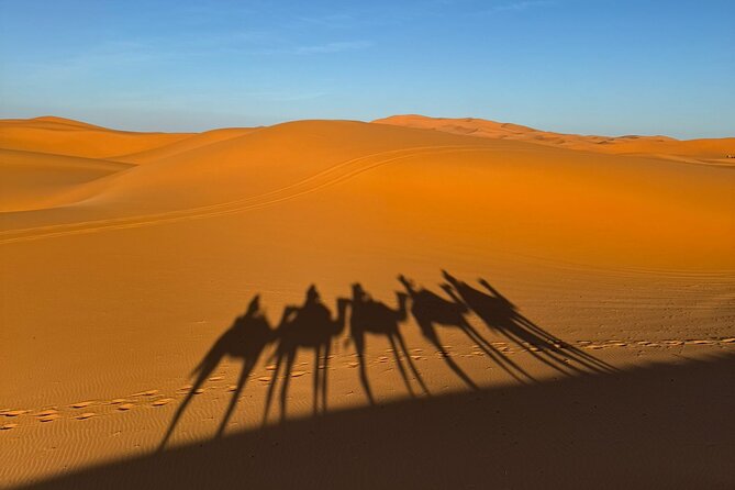 3 Days 2 Nights Desert Tour from Fes to Marrakech via Merzouga - Who this desert tour is best for