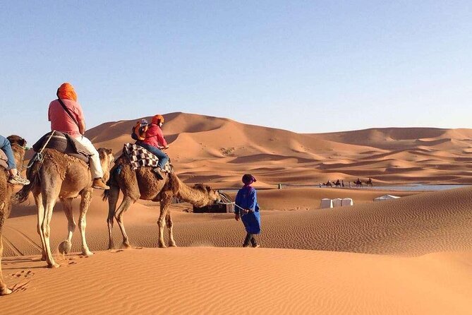 3 Days 2 Nights Desert Trip From Fez to Marrakech in Group - From Fes Early Morning: Ifrane, Midelt, and the Road Up