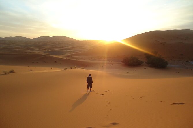 3 days 2 nights Excursion from Marrakech to Marzouga Desert - Merzouga arrival and sunset by camel: the moment the trip pays off