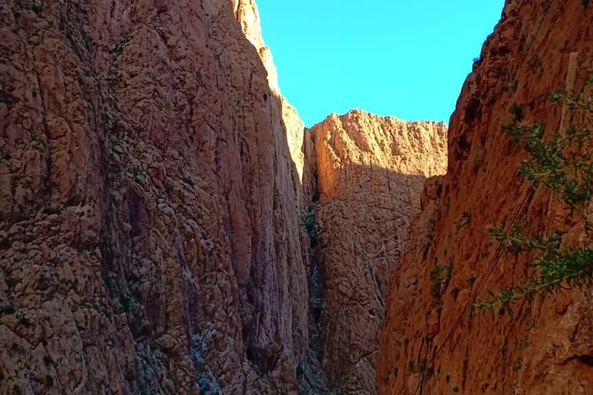 3 Days Desert Tour Fes to Marrakech with 2 Nights in Merzouga - Stop 4: Khamlia and Gnawa Music, Plus Oasis Time