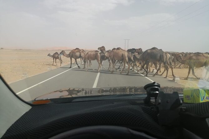 3 Days Desert Tour Fes to Marrakech with 2 Nights in Merzouga - Sandboarding and Quad Biking, What’s Included and What Costs Extra