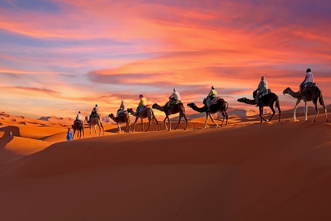 3 Days Desert Tour from Fes to Marrakech via Merzouga - Key highlights to know before you go