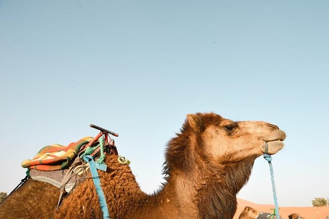 3 Days Desert Tour from Fes to Marrakech via Merzouga - Day 3: Ait Ben Haddou, Atlas Film Studios, and the drive into Marrakech
