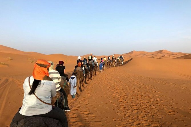 3 Days Desert Tour from Fes to Marrakech via Merzouga - Price and value: what $801.40 per person really buys