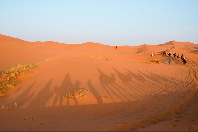3 Days Desert Tour from Fes to Marrakech via Merzouga - What meals are included, and how to budget lunch