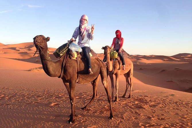 3 Days Desert Tour from Fes to Marrakech via Merzouga - Comfort and practicality: private van, timing, and a guide who keeps you sane