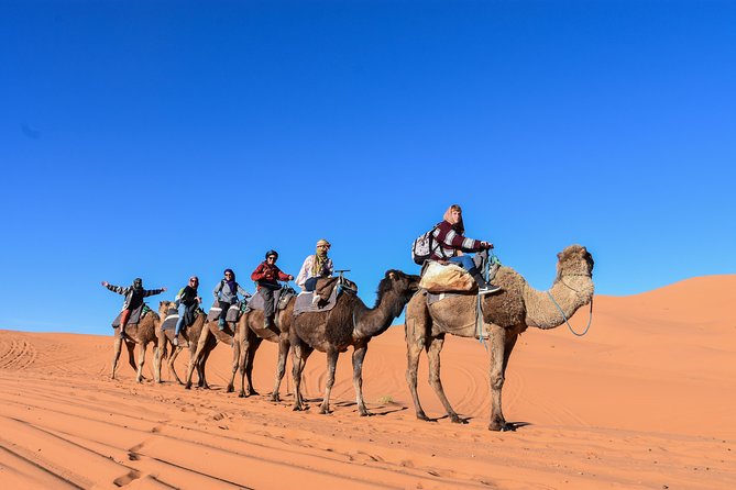 3 Days Desert tour from Fez to Marrakesh via Merzouga Erg chebbi - Food, tents, and included meals: where the value is hiding